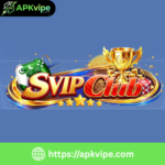 SVIP Club Game